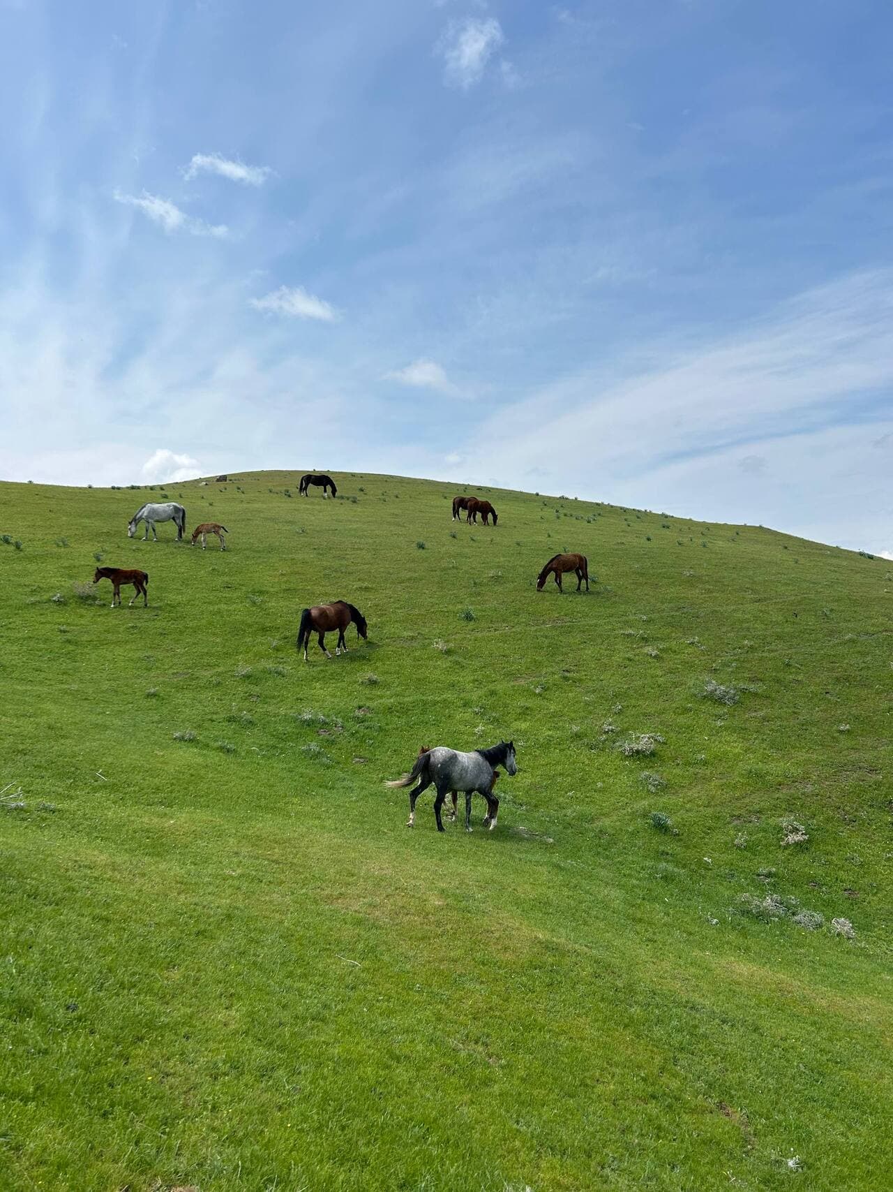 Samarkand: Nature Hike in the Ohalik Mountains with a Local Guide