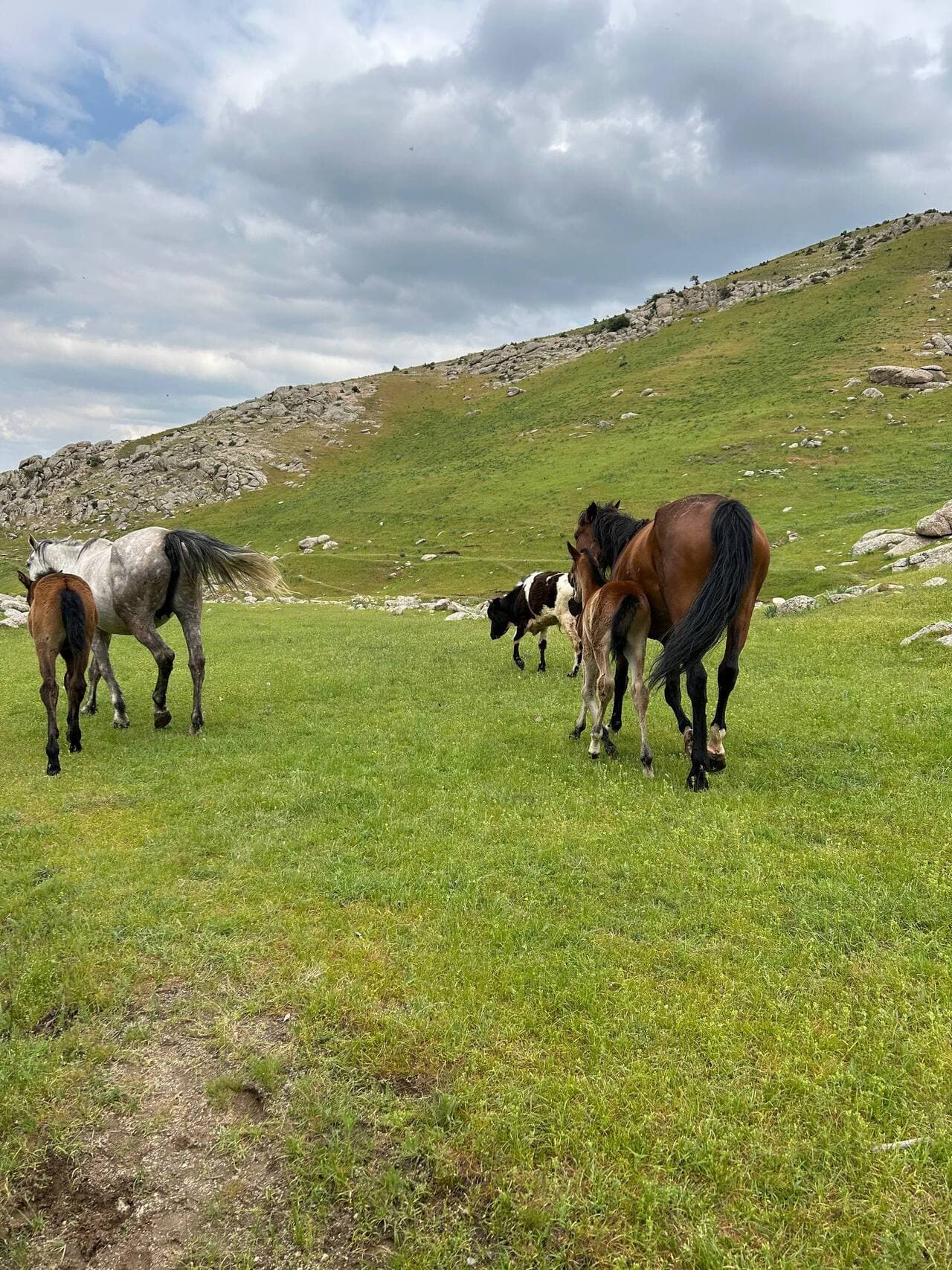 Samarkand: Nature Hike in the Ohalik Mountains with a Local Guide - Image 3