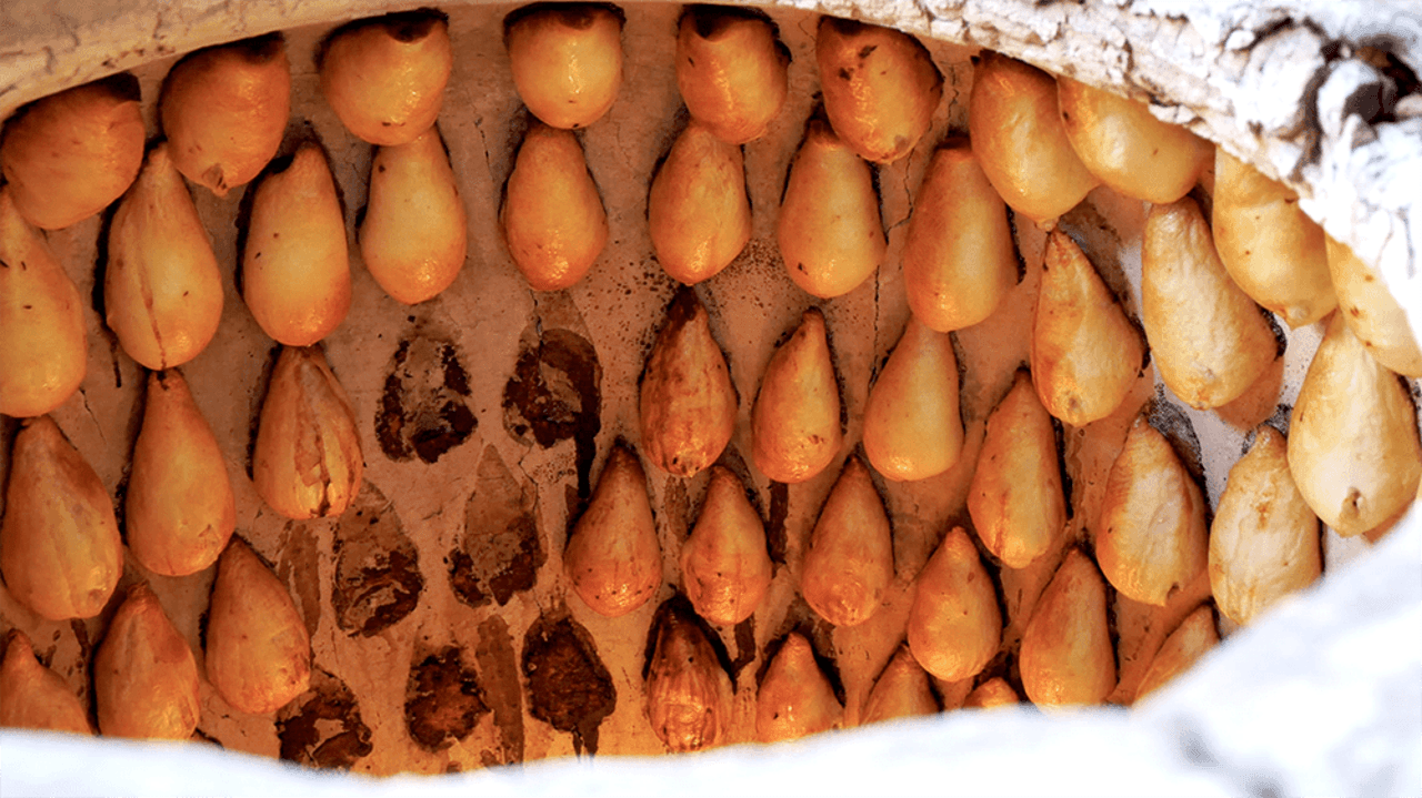 Samarkand: Traditional Tandoor Samsa Cooking Workshop - Image 5